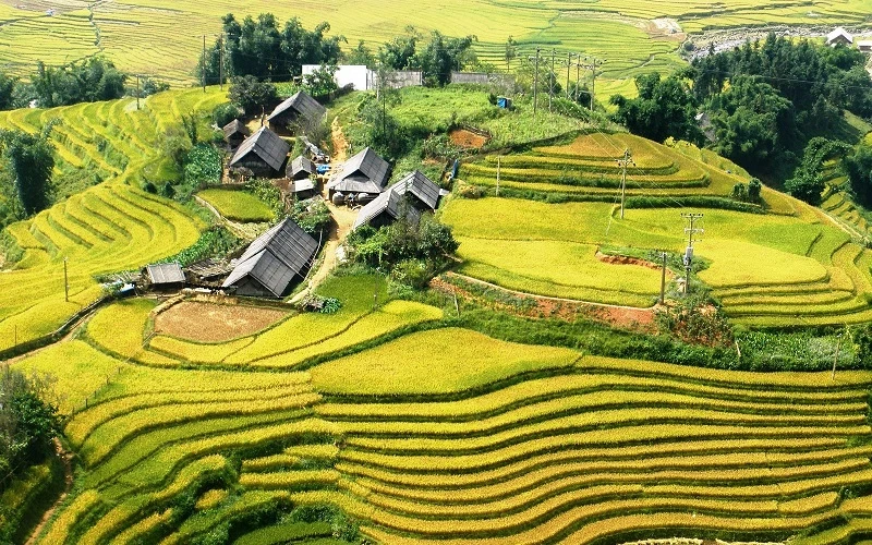 Impressive Vietnam 12 Days | Vietnam Classic Tour
